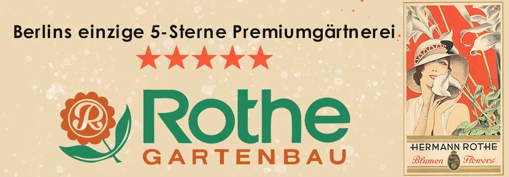 Rothe Gartenbau – Traumhafte Brautfloristik für Ihren schönsten Tag