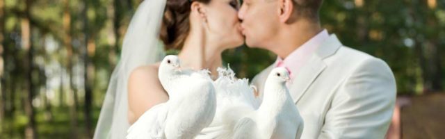 Hochzeitstauben in Berlin, Potsdam und Umgebung